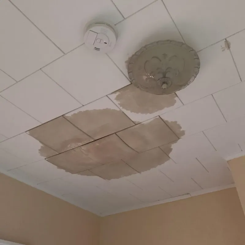 Ceiling Water Damage Repair in Kulpmont, PA