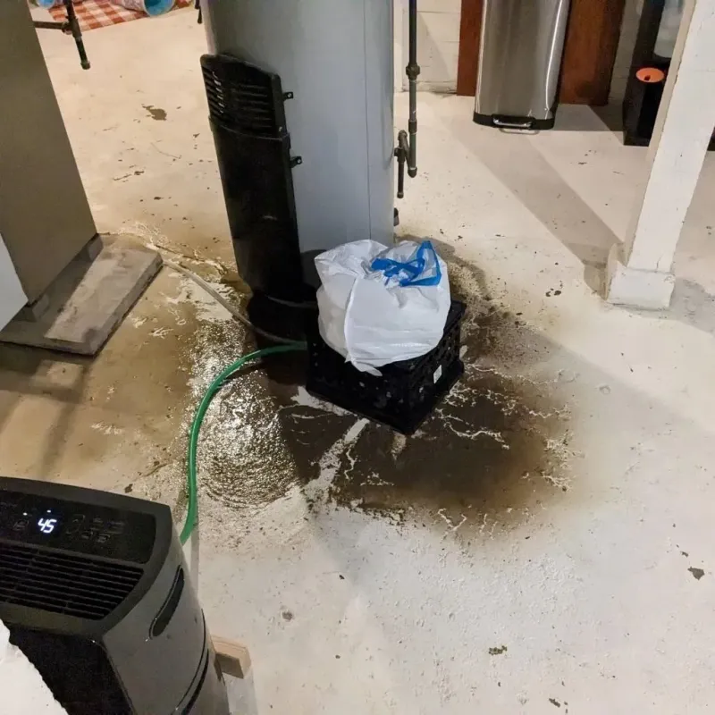 Sewage Backup Cleanup Service in Kulpmont, PA